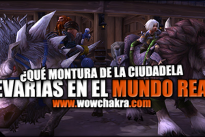 Encuesta Montura de la Ciudadela