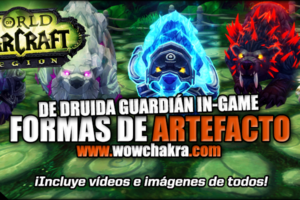 Druida Guardián Artifacts form
