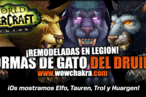 Druid cat form Legion