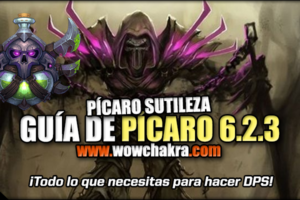 Guía Pícaro Sutileza