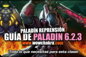 Guía Paladín Reprensión 6.2.3