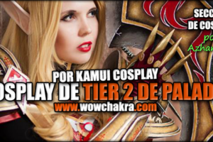 Tier 2 Paladin Kamui Cosplay