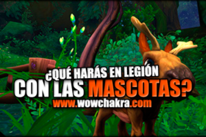 Encuesta sobre las mascotas en Legion