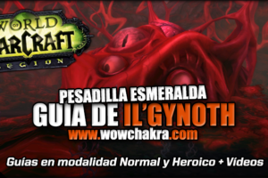 Guía de Il'gynoth Heroico