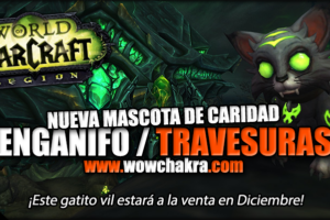 Gatito vil mascota