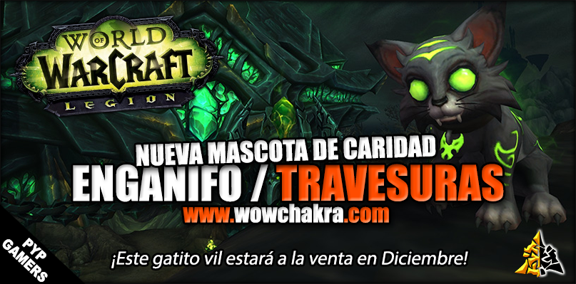 Gatito vil mascota