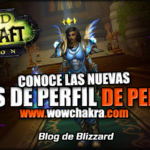 Nuevas páginas de perfil de personaje de WoW
