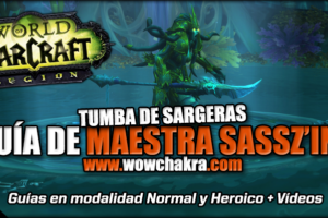 Guía de Maestra Sassz'ine