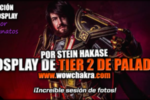 Cosplay de Tier 2 de Paladín por Stein Hakase