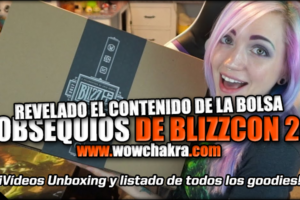 Bolsa de regalos de BlizzCon 2017