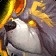 Dog mount encrypted mount