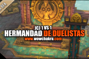 Hermandad de Duelistas