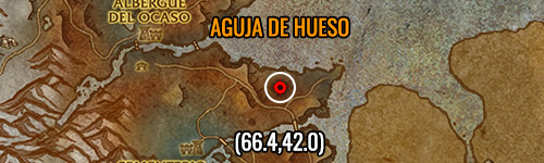 Aguja de hueso localización