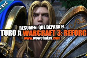 Panel - Que depara el futuro a Warcraft 3