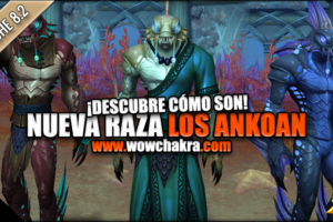 Raza Ankoan