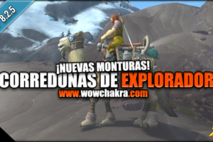 Corredunas de explorador 8.2.5