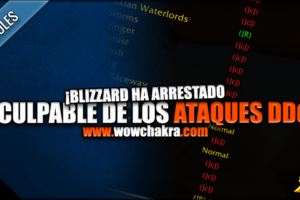 ¡Blizzard ha arrestado al culpable de los ataques DDoS!
