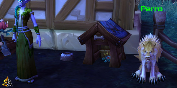 Perro en Shadowlands