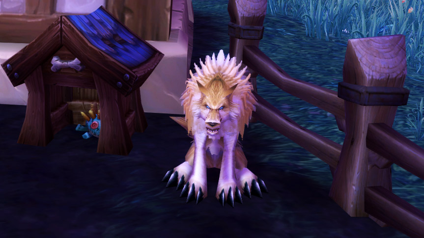 Perro, el perro de nuestra Ciudadela y Dalaran podría llegar a Shadowlands también