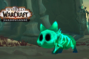 Cambios en Duelos de Mascotas en Shadowlands