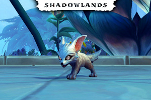 Guía de la mascota Pureza | Shadowlands