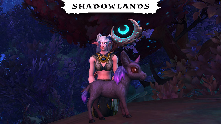 Guía de la mascota Potrillo onírico estrellado | Shadowlands