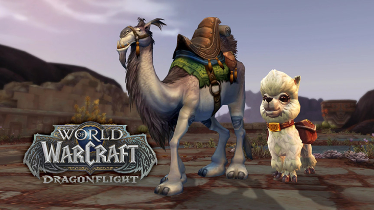 Camello de montar blanco y la mascota Locuela