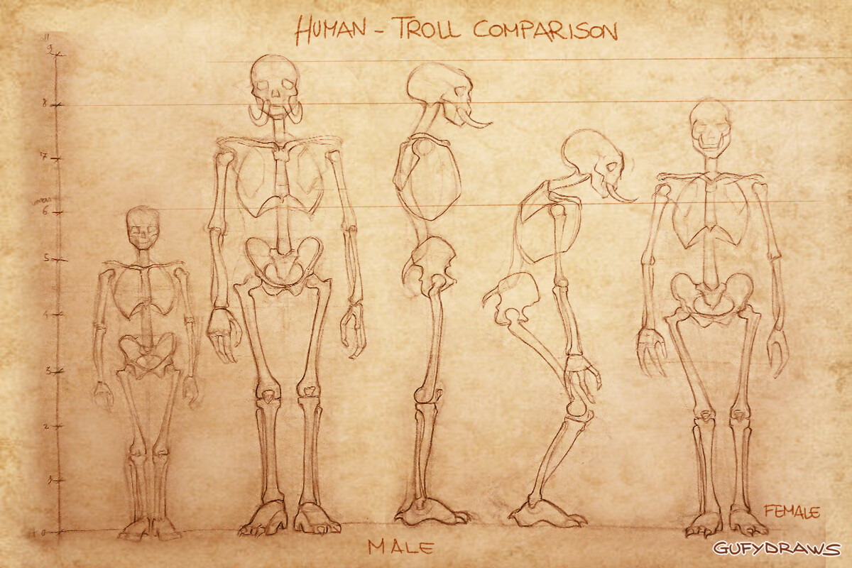 Estudio de Anatomía de las Razas de Wow Estudio de Anatomía de las Razas de Wow