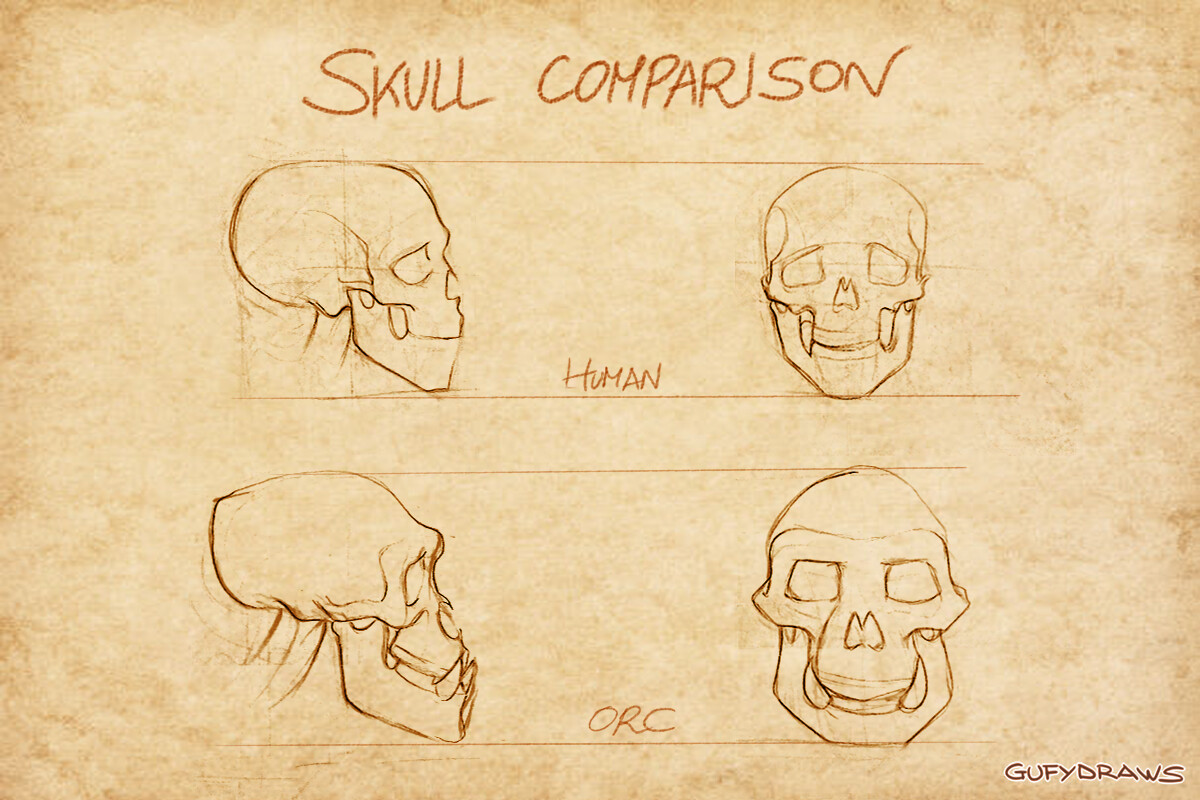 Estudio de Anatomía de las Razas de Wow Estudio de Anatomía de las Razas de Wow