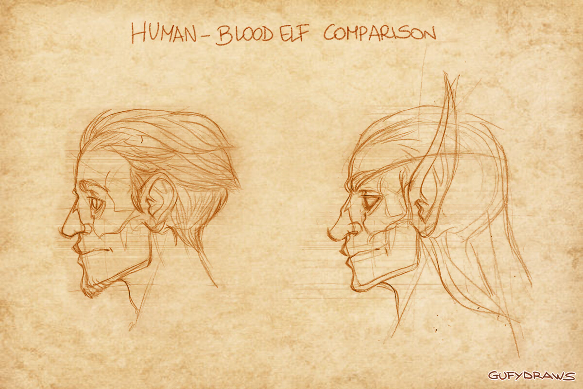 Estudio de Anatomía de las Razas de Wow Estudio de Anatomía de las Razas de Wow